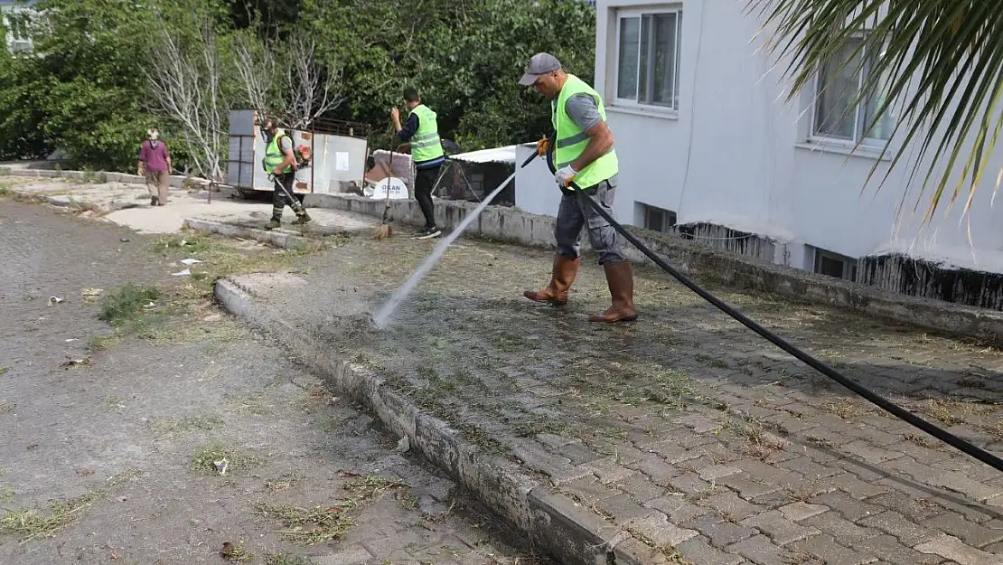 Toplu Temizlik Etkinliği Başladı