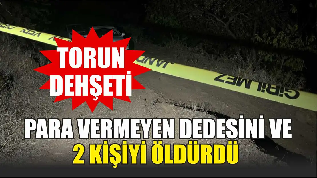 Torun dehşeti: Para vermeyen dedesini ve 2 kişiyi öldürdü