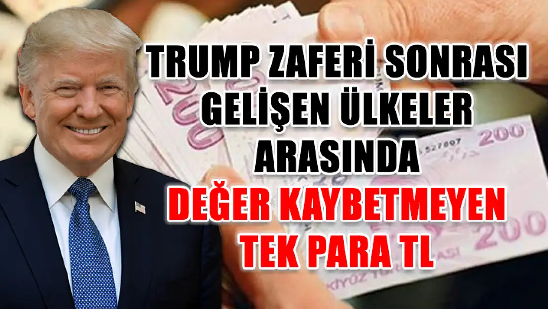 Trump zaferi sonrası gelişen ülkeler arasında değer kaybetmeyen tek para TL