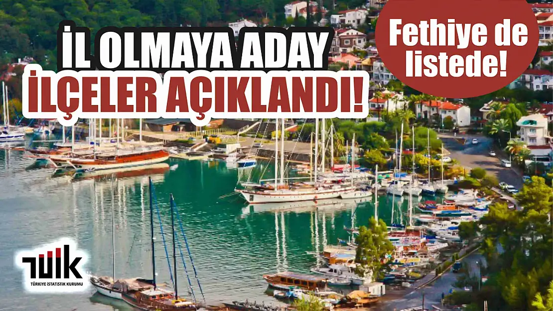 TÜİK, İl olmaya aday İlçeleri açıkladı! Fethiye de listede!