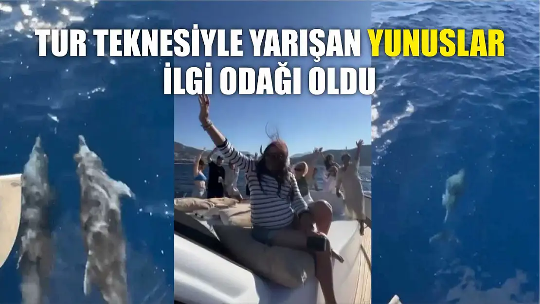 Tur Teknesiyle Yarışan Yunuslar İlgi Odağı Oldu