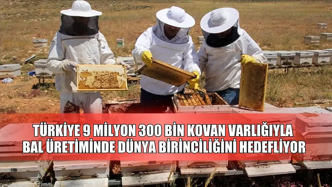 Türkiye 9 milyon 300 bin kovan varlığıyla bal üretiminde dünya birinciliğini hedefliyor