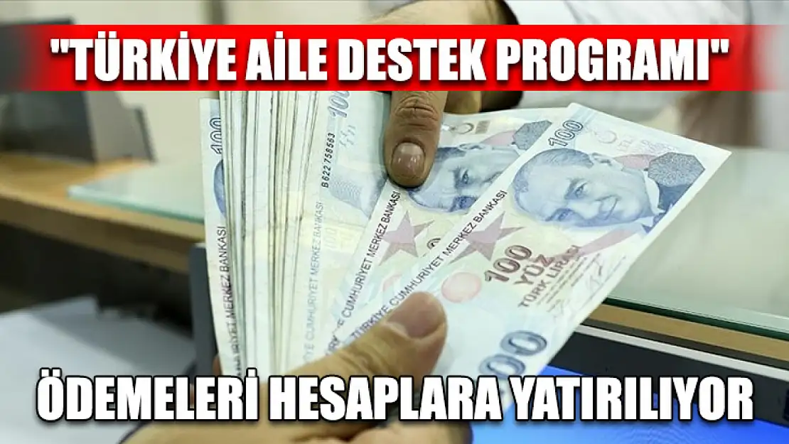 'Türkiye Aile Destek Programı' ödemeleri hesaplara yatırılıyor