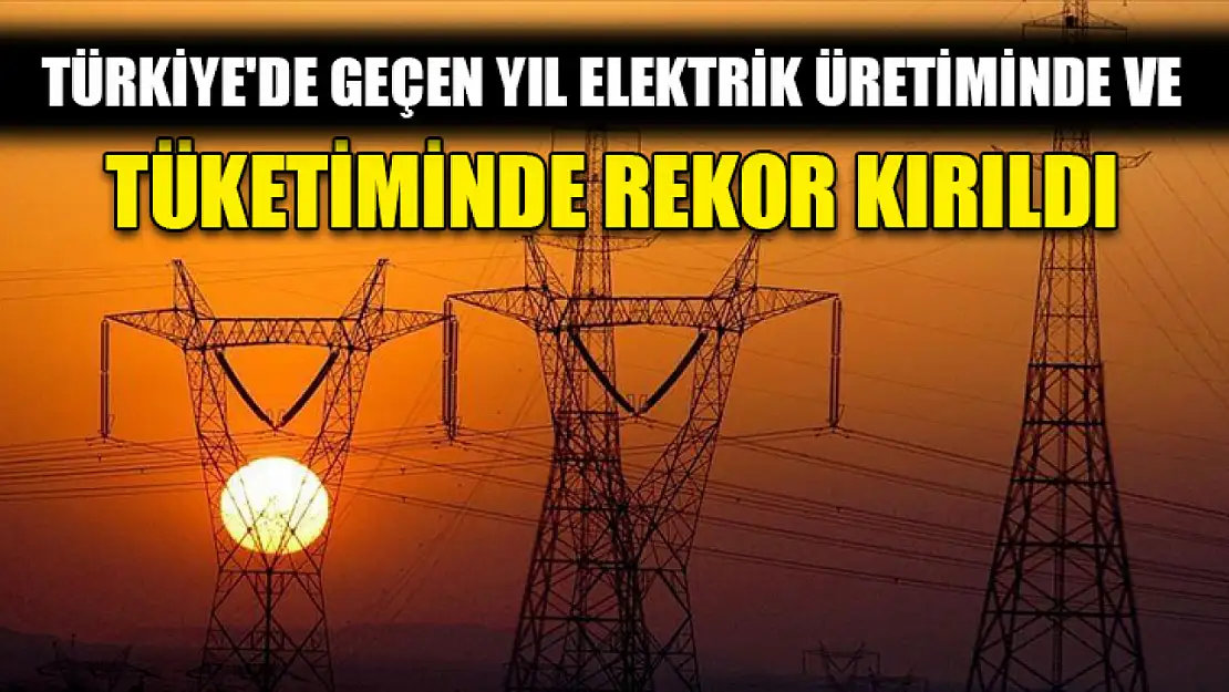 Türkiye'de geçen yıl elektrik üretiminde ve tüketiminde rekor kırıldı