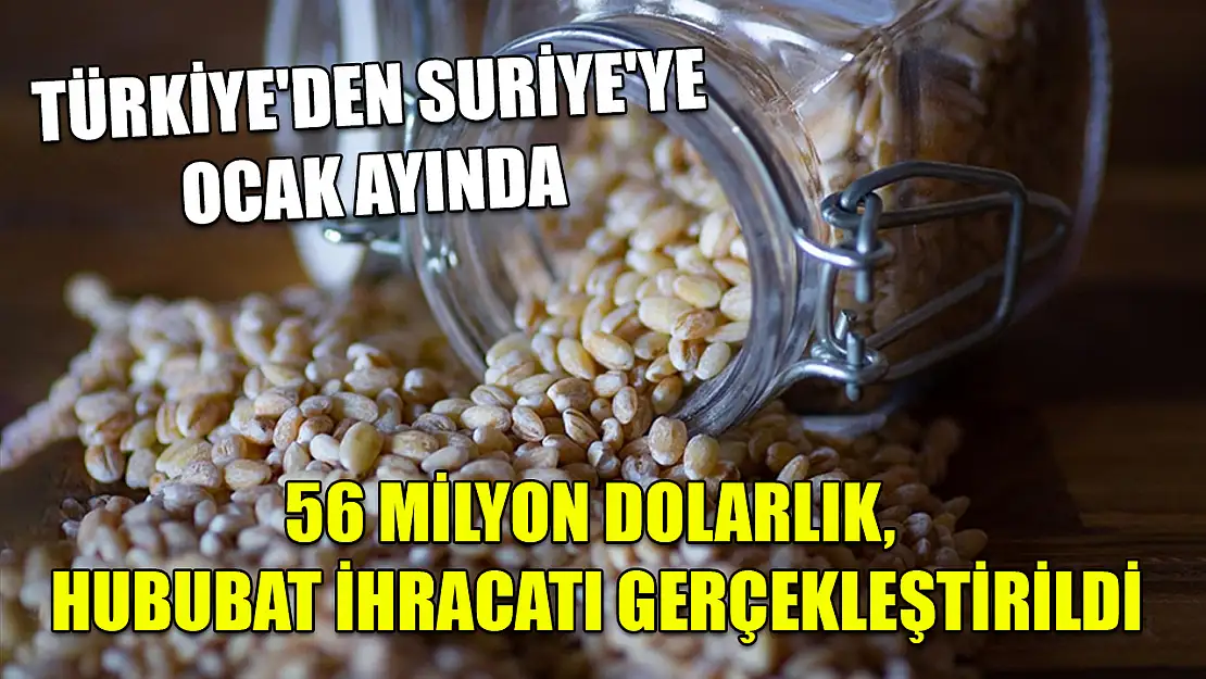 Türkiye'den Suriye'ye ocak ayında 56 milyon dolarlık hububat ihracatı gerçekleştirildi