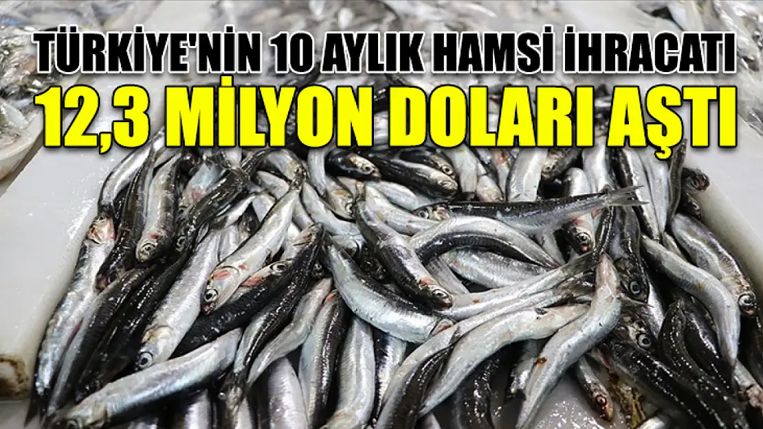 Türkiye'nin 10 aylık hamsi ihracatı 12,3 milyon doları aştı