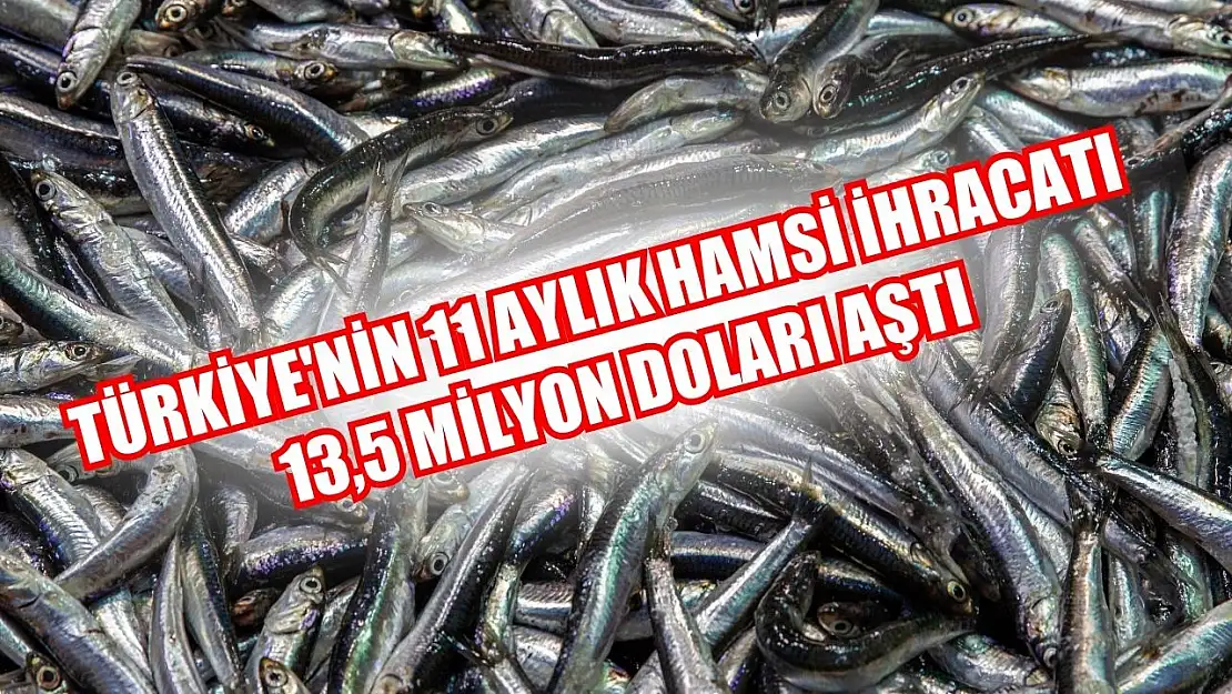 Türkiye'nin 11 aylık hamsi ihracatı 13,5 milyon doları aştı