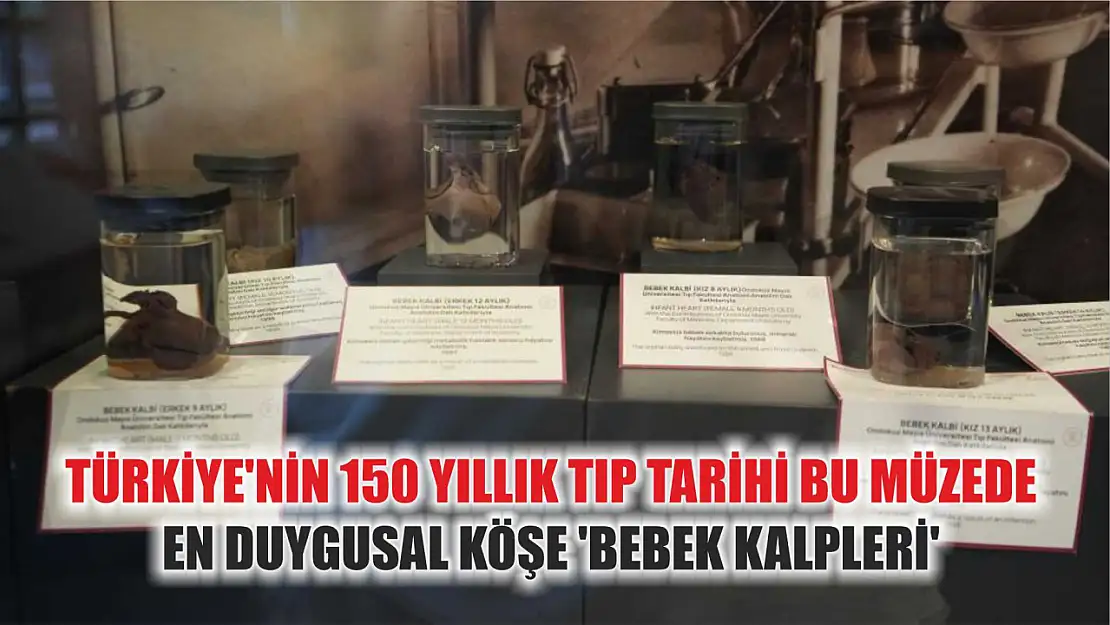 Türkiye'nin 150 yıllık tıp tarihi bu müzede: En duygusal köşe 'bebek kalpleri'