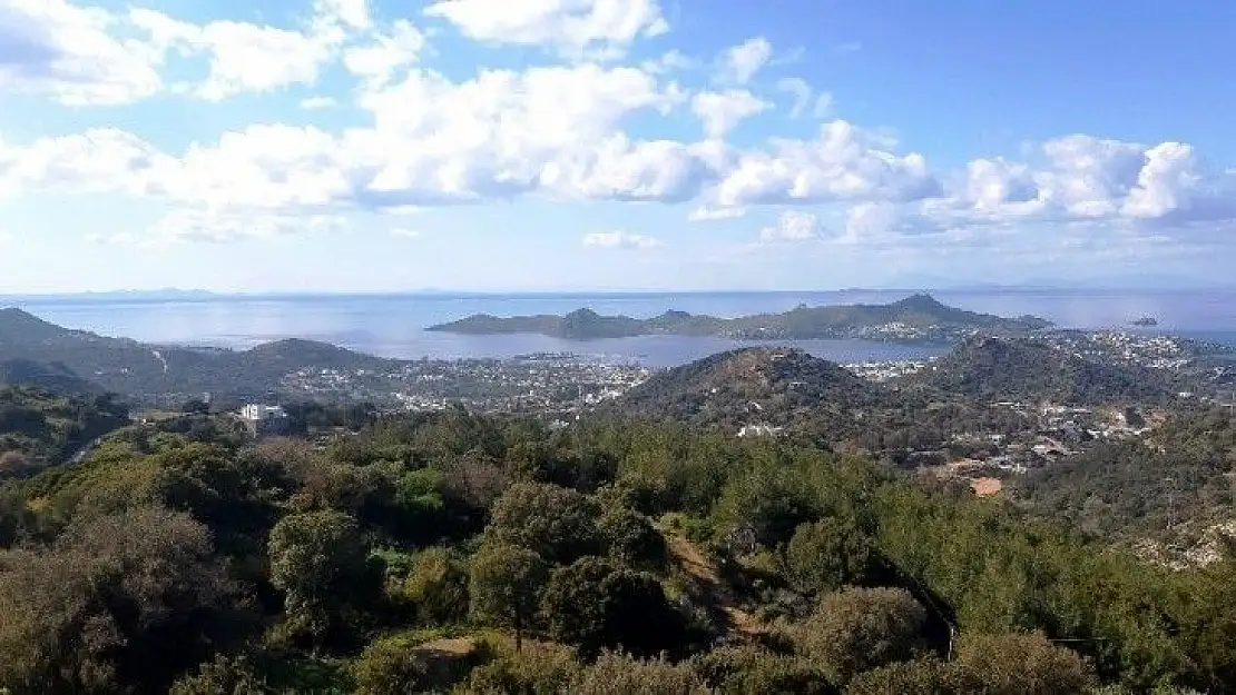 Türkiye'nin en pahalı mahallesinde imar durduruldu, milyon dolarlık projeler askıya alındı