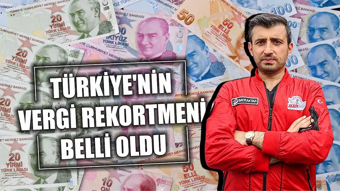 Türkiye'nin vergi rekortmeni belli oldu