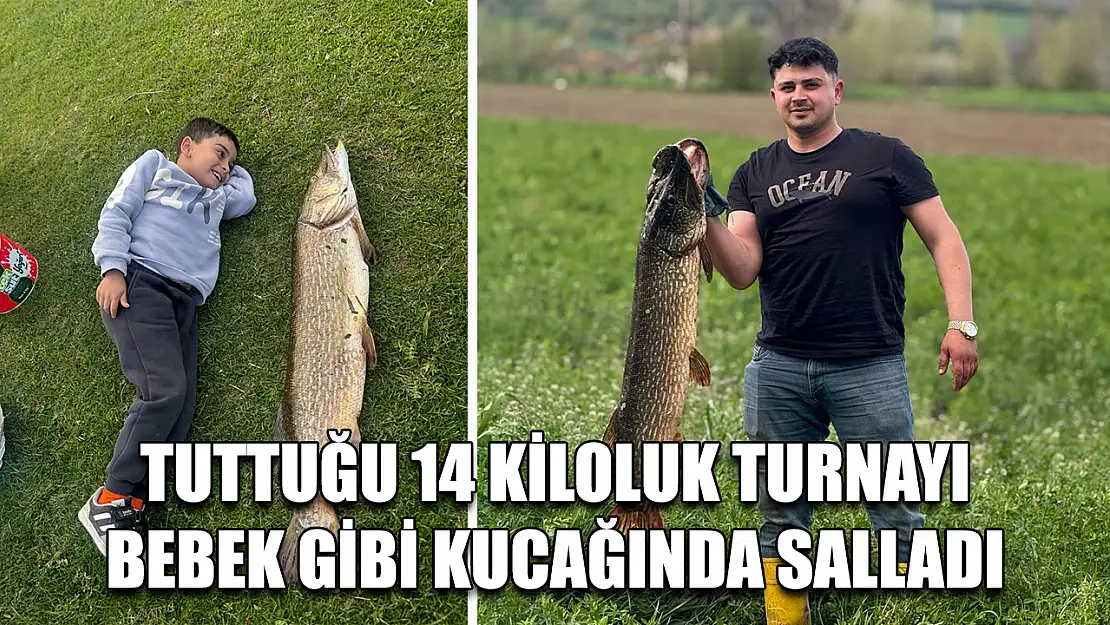 Tuttuğu 14 kiloluk turnayı bebek gibi kucağında salladı