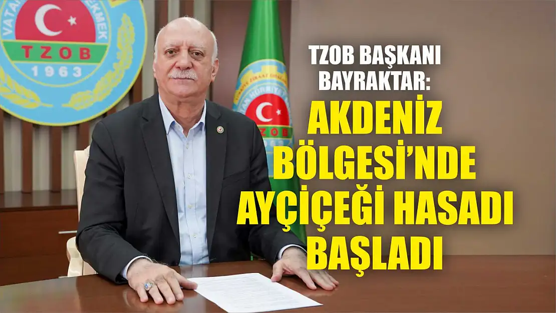 TZOB Başkanı Bayraktar: Akdeniz Bölgesi'nde ayçiçeği hasadı başladı