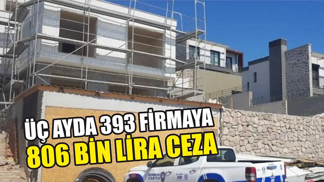 Üç ayda 393 firmaya 806 bin lira ceza