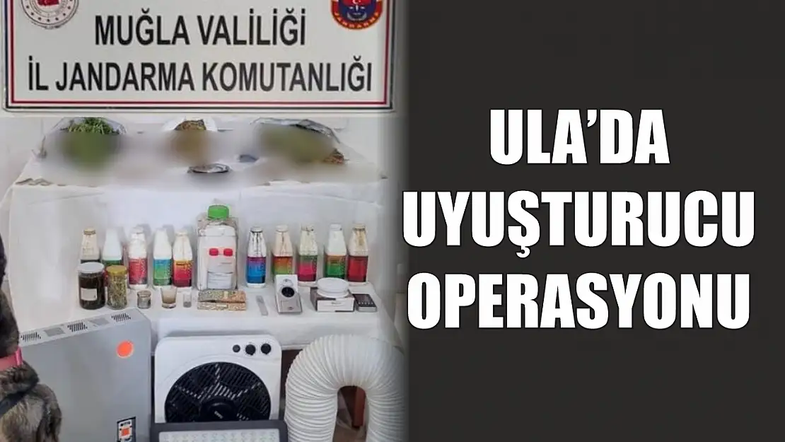 Ula'da uyuşturucu operasyonu