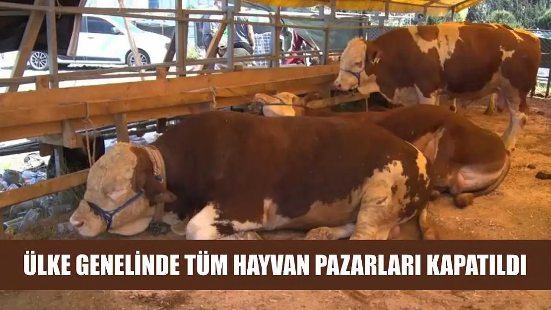 Ülke genelinde tüm hayvan pazarları kapatıldı