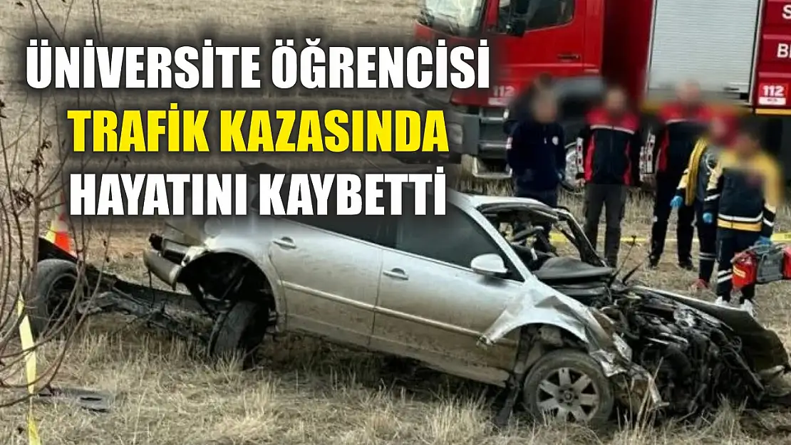 Üniversite öğrencisi trafik kazasında hayatını kaybetti