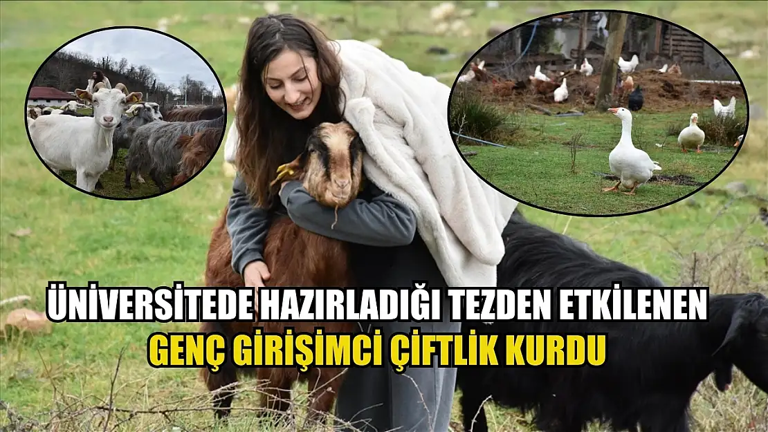 Üniversitede hazırladığı tezden etkilenen genç girişimci çiftlik kurdu