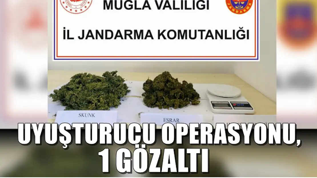 Uyuşturucu Operasyonu, 1 Gözaltı