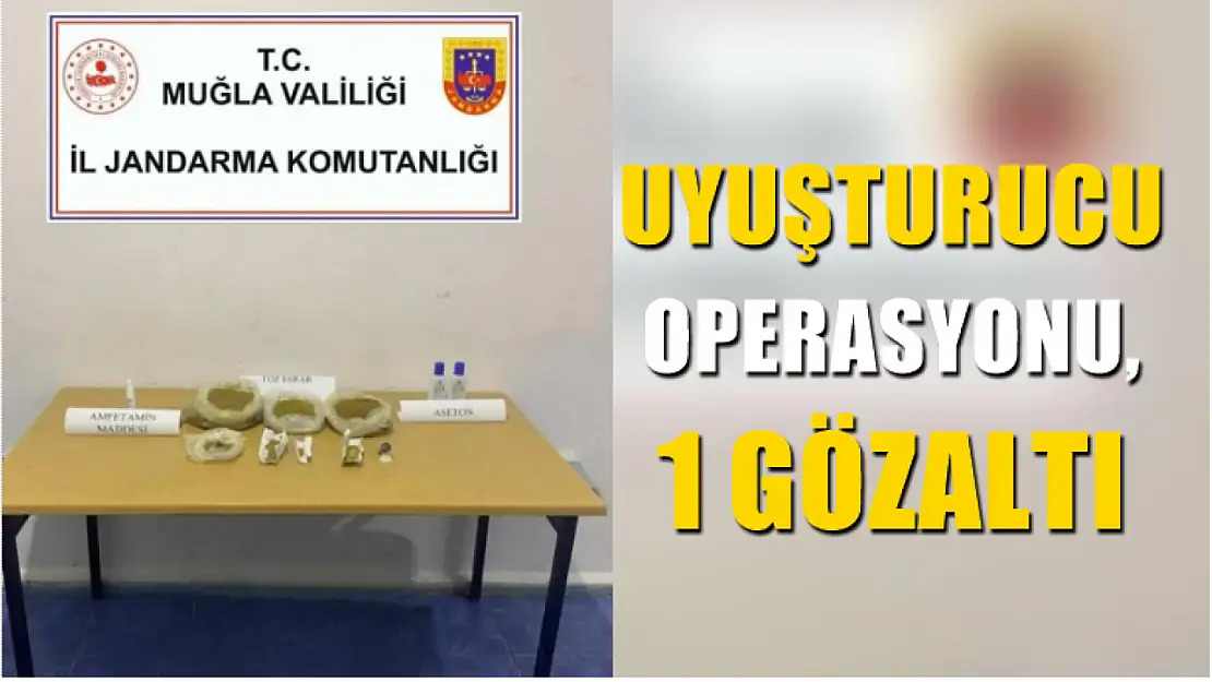 Uyuşturucu operasyonu, 1 gözaltı