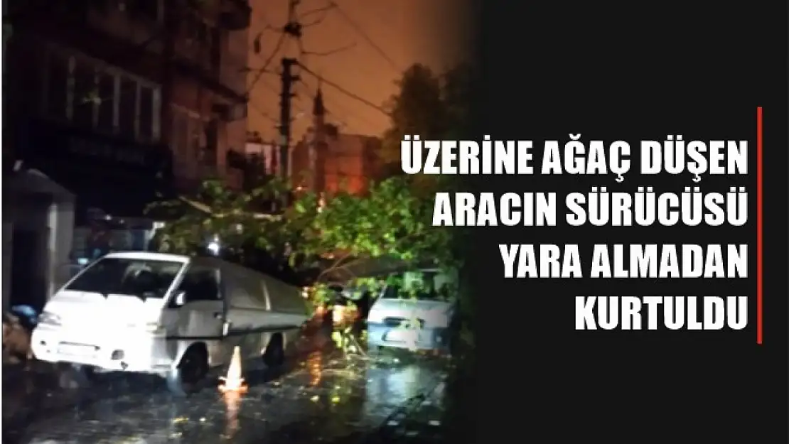 Üzerine ağaç düşen aracın sürücüsü yara almadan kurtuldu