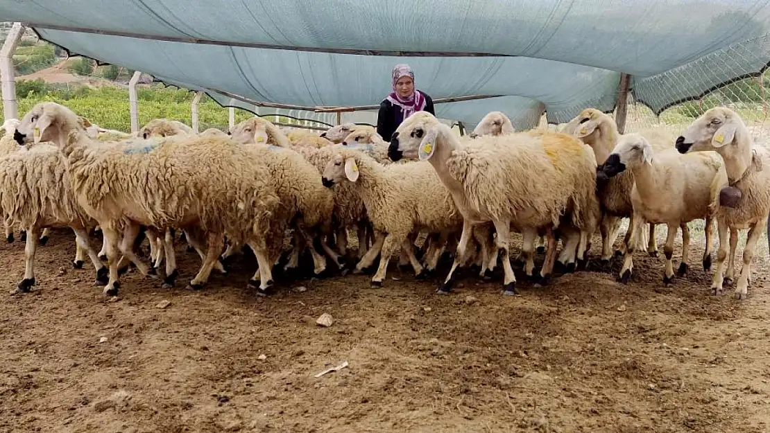 Uzman Eller Projesi ile genç yaşta kendi işini kurdu