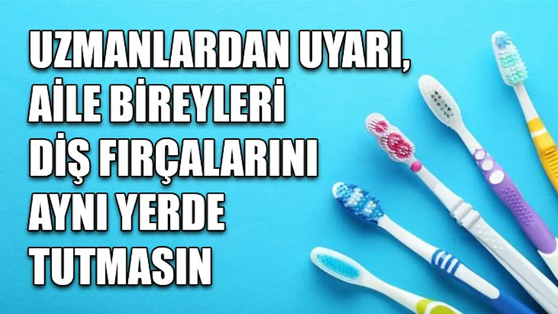 Uzmanlardan uyarı, aile bireyleri diş fırçalarını aynı yerde tutmasın