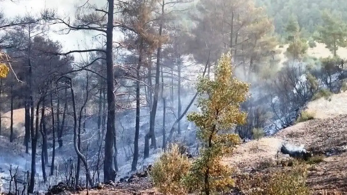 Vatandaş desteğiyle yangın kontrol altına alındı