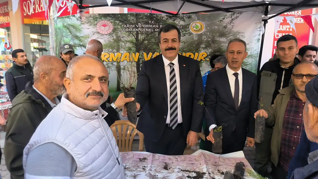 Vatandaşlara 3 bin adet fidan dağıtıldı