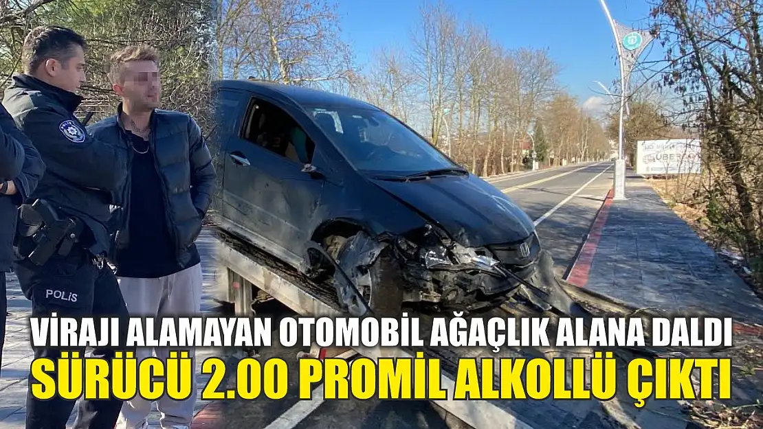 Virajı alamayan otomobil ağaçlık alana daldı: Sürücü 2.00 promil alkollü çıktı