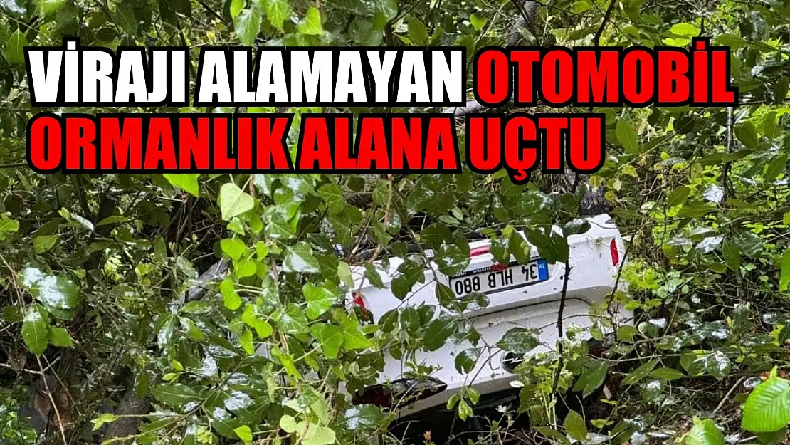 Virajı alamayan otomobil ormanlık alana uçtu: 3 yaralı