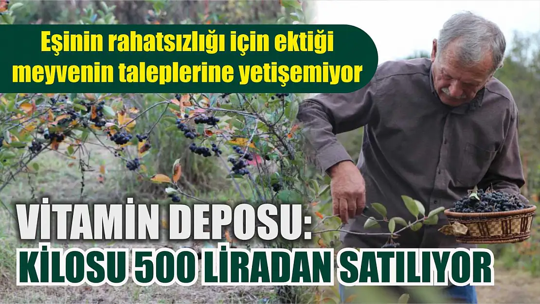 Vitamin deposu: Kilosu 500 liradan satılıyor