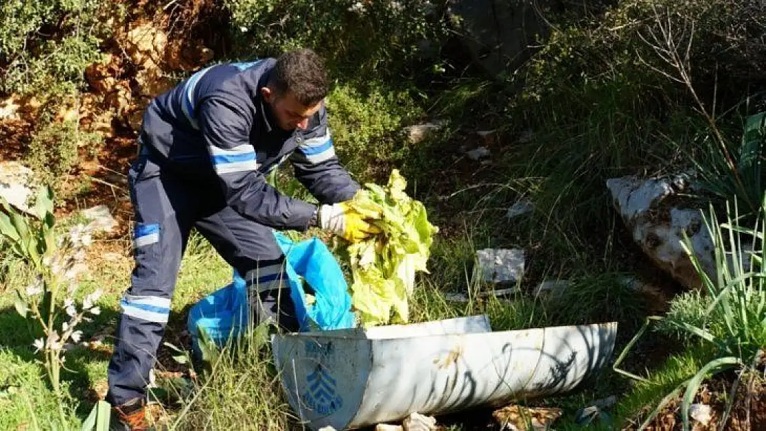 Yaban domuzları için yemlikler yerleştiriliyor