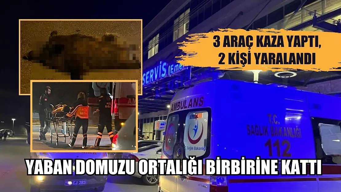 Yaban domuzu ortalığı birbirine kattı 3 araç kaza yaptı, 2 kişi yaralandı