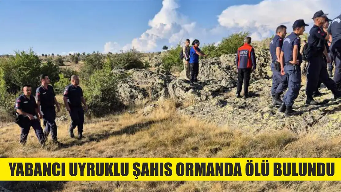 Yabancı uyruklu şahıs ormanda ölü bulundu