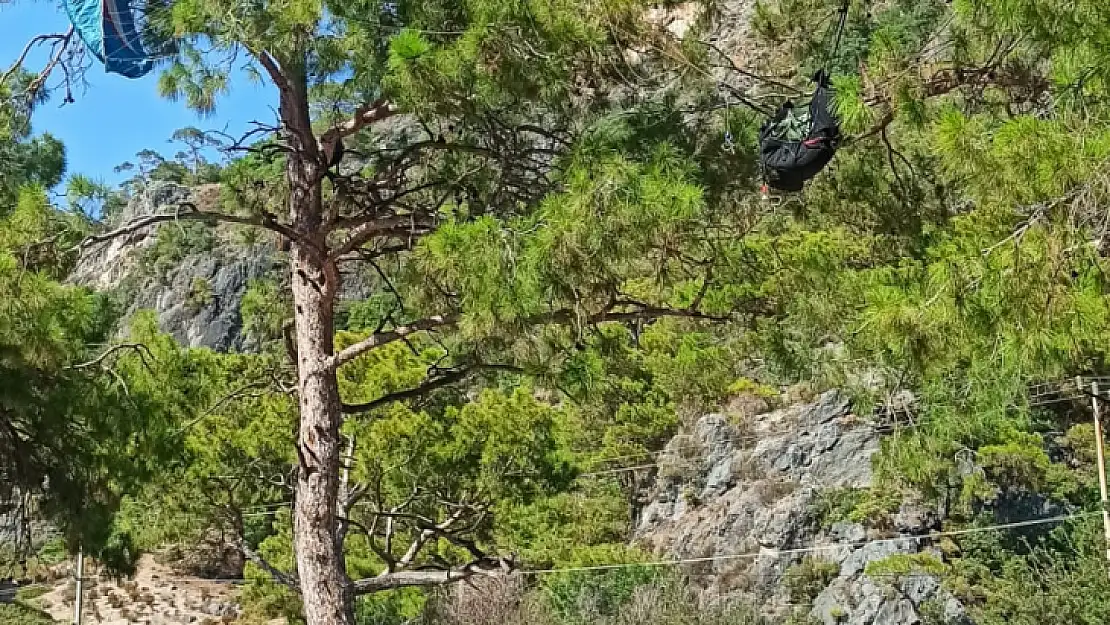 Yamaç paraşütü pilotu ağaçta asılı kaldı