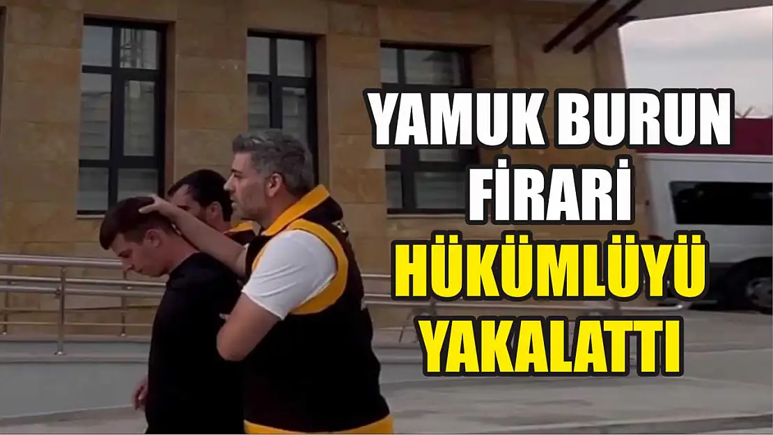 Yamuk burun firari hükümlüyü yakalattı