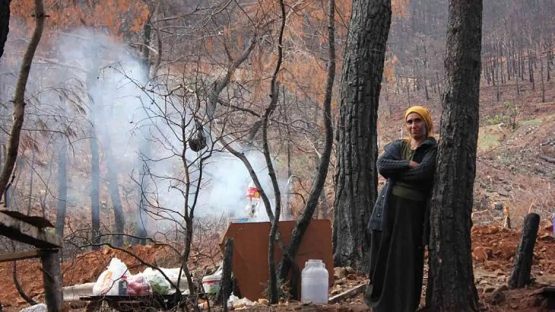 Yanan sahalarda kesim işçilerinin elektriksiz yaşam mücadelesi