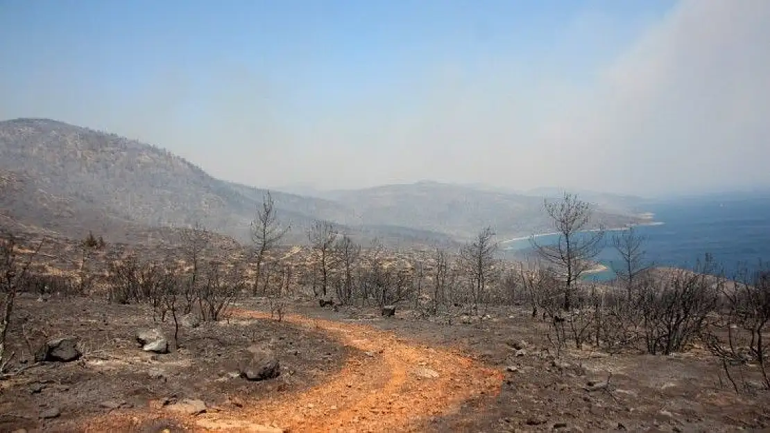 Yangın Bodrum'da kontrol altına alındı