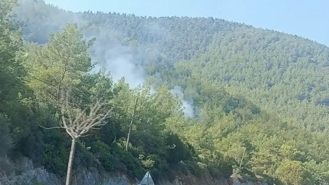 Yangın Büyümeden Söndürüldü