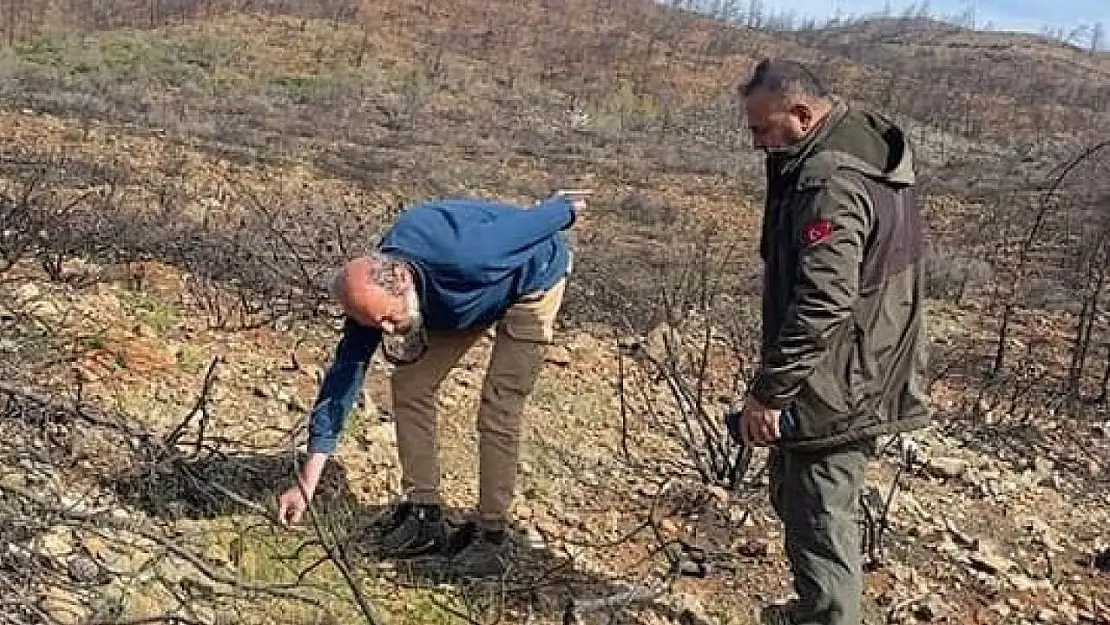 Yangın sahasında incelemelerde bulunuldu