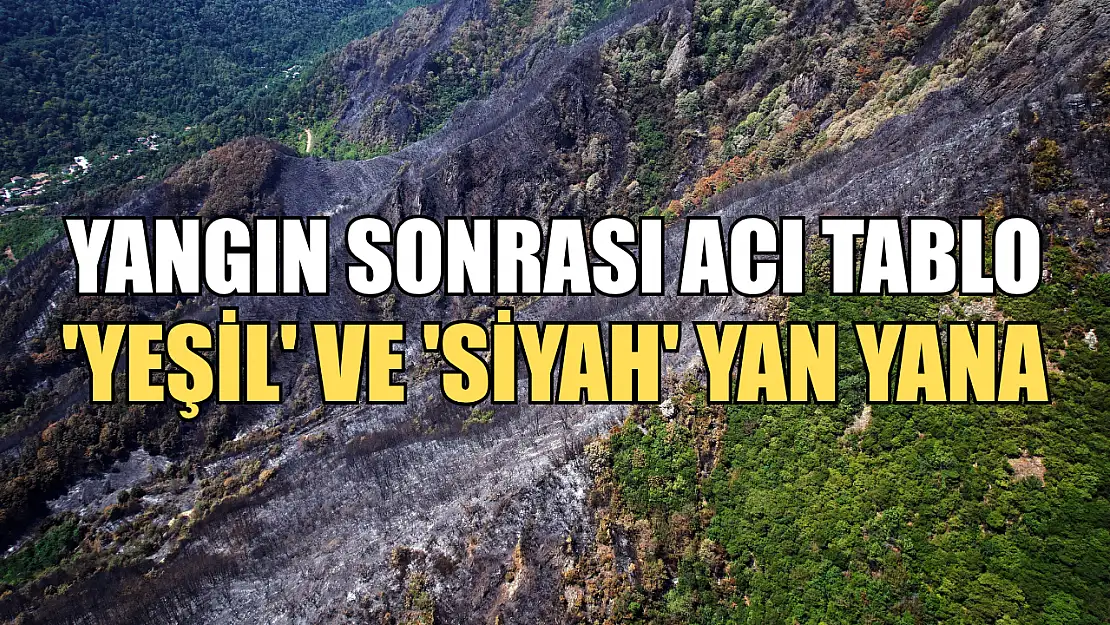 Yangın sonrası acı tablo: 'Yeşil' ve 'siyah' yan yana