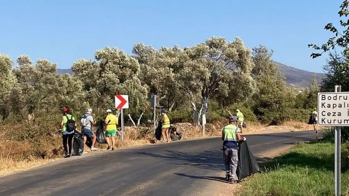 Yangın sonrası tehlike oluşturan ağaçlara müdahale edildi