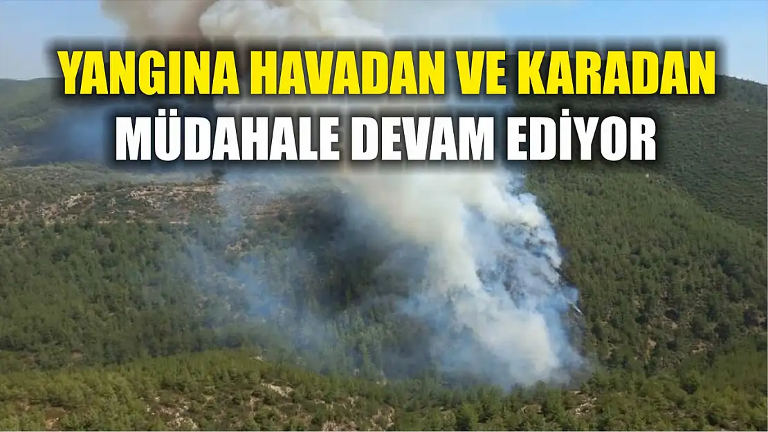 Yangına havadan ve karadan müdahale devam ediyor