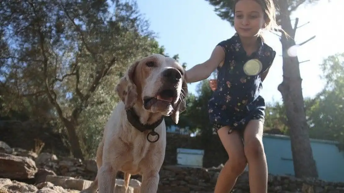 Yangında köpeğinin kulübesi yanmıştı, minik Merve'nin hayali gerçek oldu