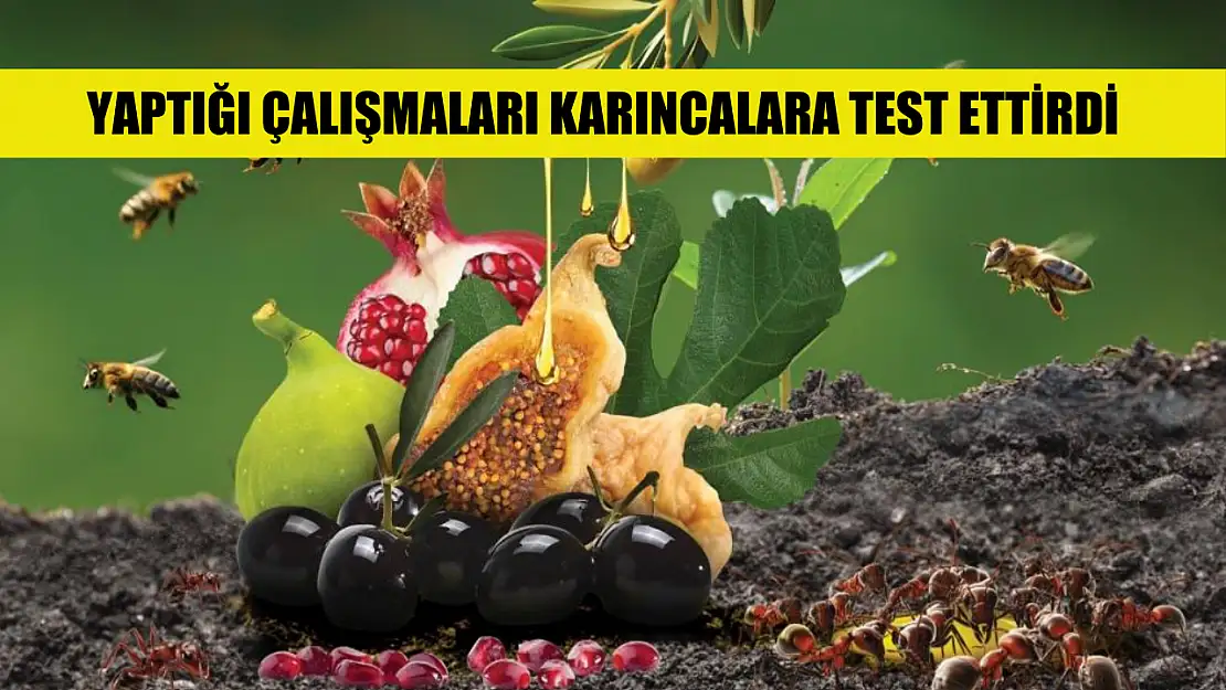 Yaptığı çalışmaları karıncalara test ettirdi, 18 patent sahibi oldu