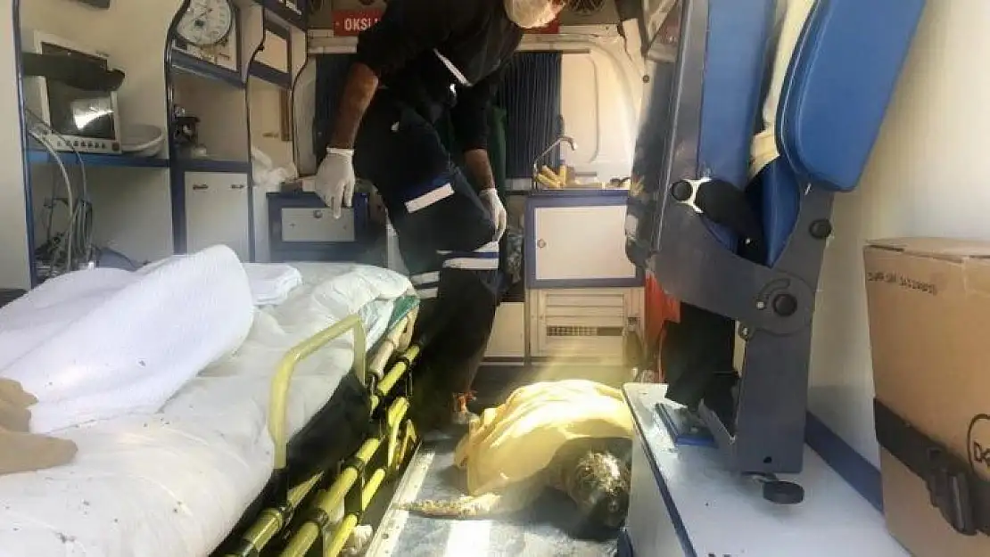 Yaralı caretta carettanın yardımına Petbulance ekibi yetişti