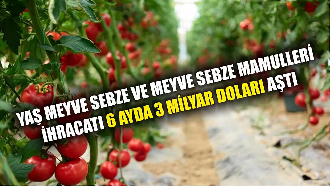 Yaş meyve sebze ve meyve sebze mamulleri ihracatı 6 ayda 3 milyar doları aştı