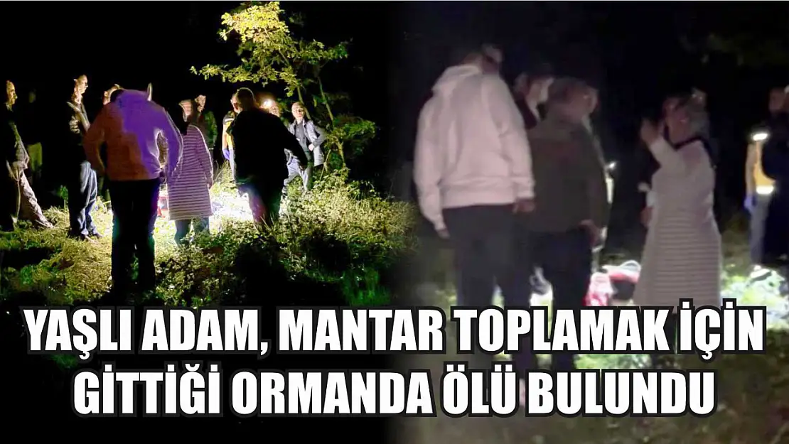 Yaşlı adam, mantar toplamak için gittiği ormanda ölü bulundu