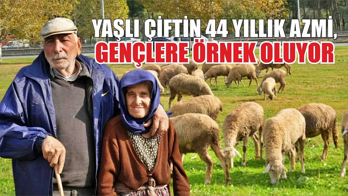 Yaşlı çiftin 44 yıllık azmi, gençlere örnek oluyor