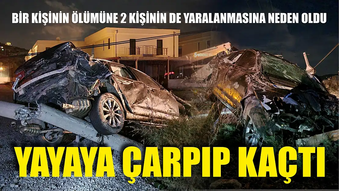 Yayaya çarpıp kaçtı